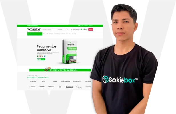 paginas-web